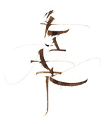 Calligraphie Michel Anastasio
