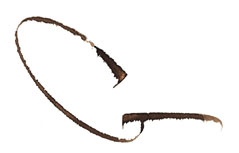 Calligraphie Michel Anastasio