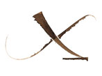 Calligraphie Michel Anastasio