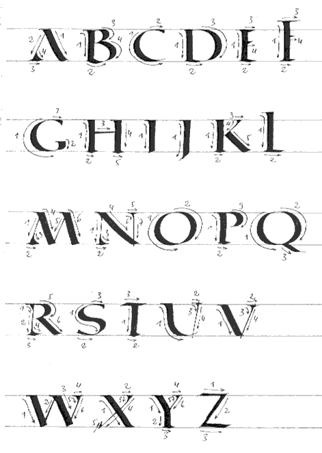 Planche de ductus de la quadrata